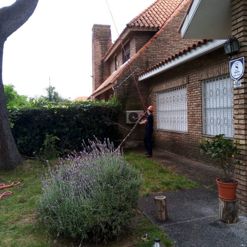 125258469_144508550749347_6386707518877041356_o