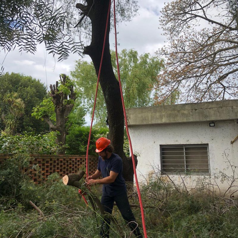 WhatsApp Image 2020-11-08 at 8.04.29 AM