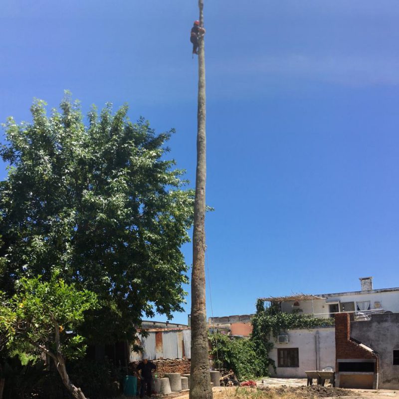 WhatsApp Image 2021-01-04 at 8.10.34 PM (1)