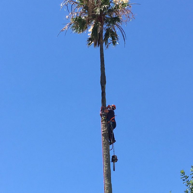 WhatsApp Image 2021-01-04 at 8.10.34 PM