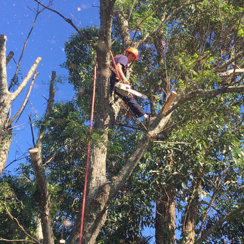 WhatsApp Image 2021-01-04 at 8.11.08 PM