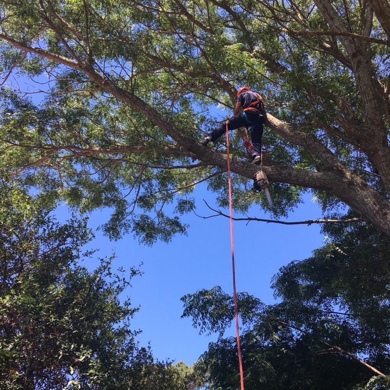 WhatsApp Image 2021-01-04 at 8.11.11 PM