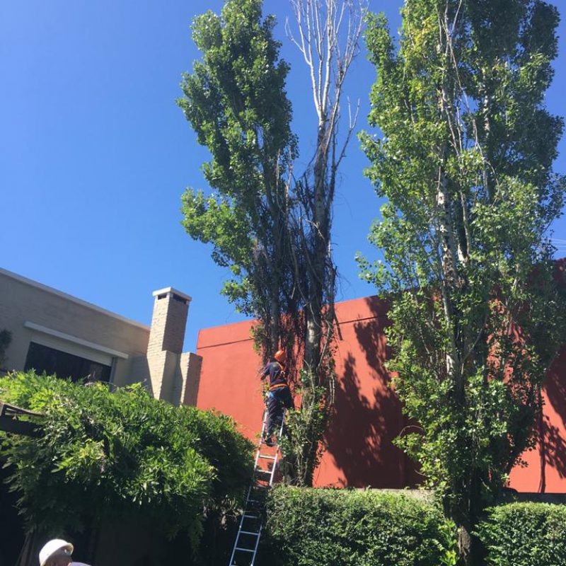 WhatsApp Image 2021-01-04 at 8.11.12 PM