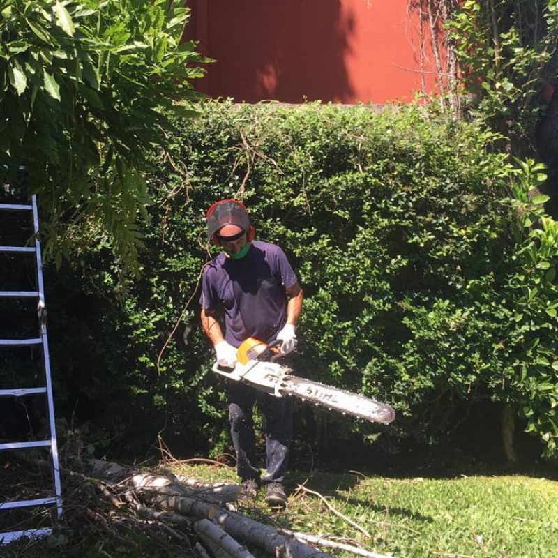 WhatsApp Image 2021-01-04 at 8.11.14 PM