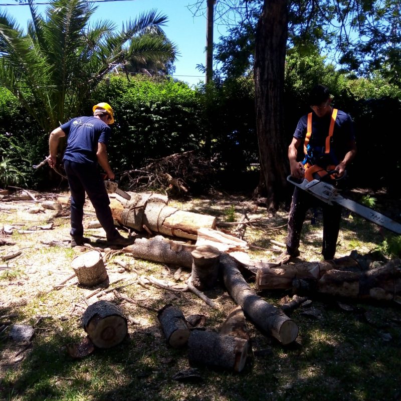 WhatsApp Image 2021-01-04 at 8.11.17 PM