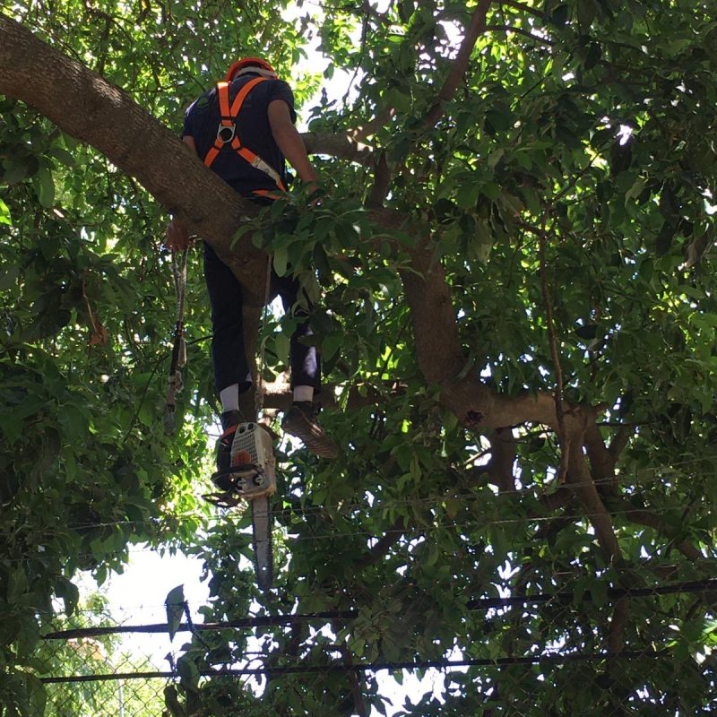 WhatsApp Image 2021-01-04 at 8.11.19 PM