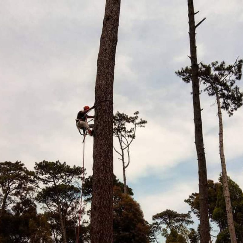 WhatsApp Image 2021-02-16 at 11.31.55 AM