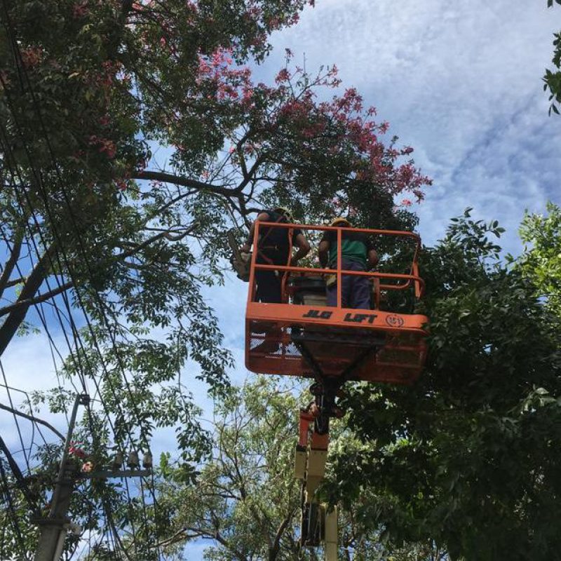 WhatsApp Image 2021-03-15 at 7.45.23 PM