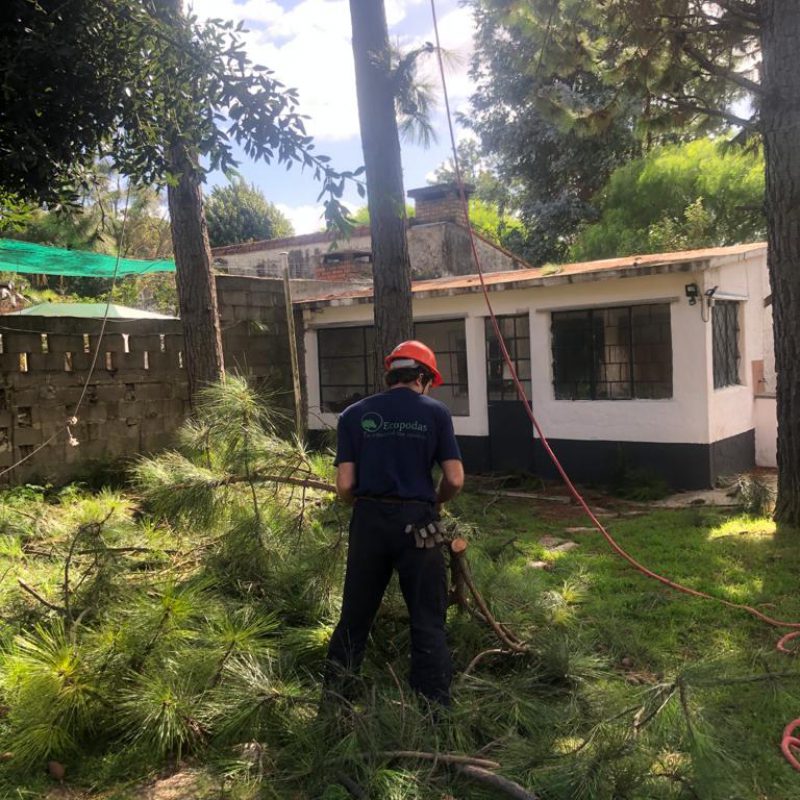 WhatsApp Image 2021-04-01 at 4.17.09 PM